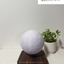 Moonlight Speaker